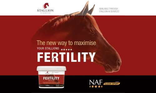 NAF FIVE STAR FERTILITY FOR STALLIONS