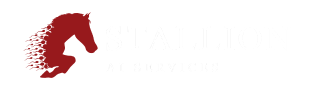 Stallion AI Services