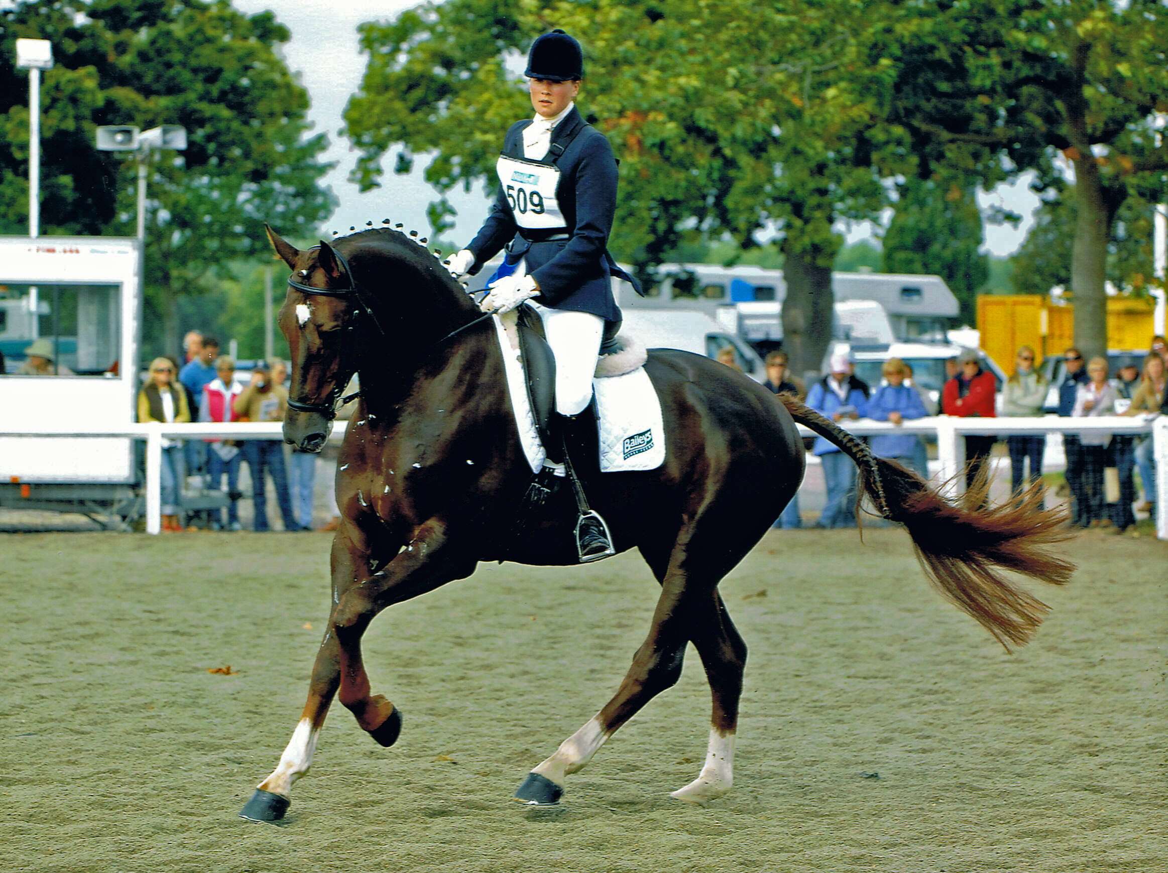 Valeur R Stallion